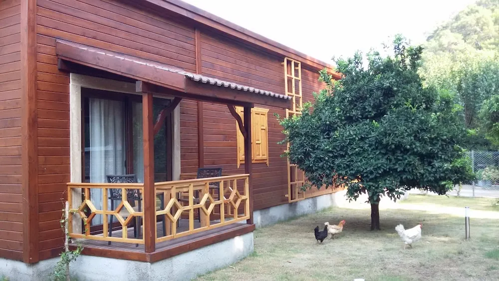Dört Kişilik Oda