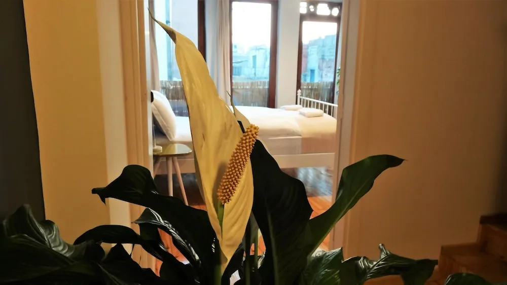 Apart Daire, 3 Yatak Odası, Teras