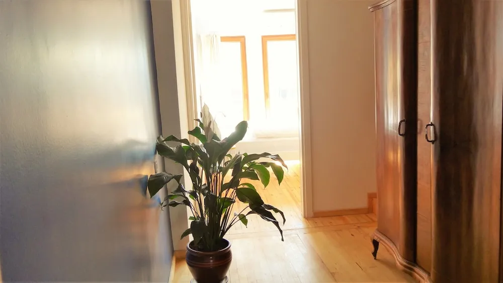 Apart Daire, 3 Yatak Odası, Teras