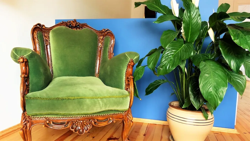 Apart Daire, 3 Yatak Odası, Teras