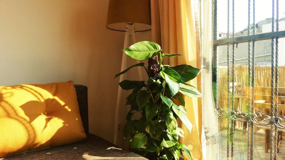 Apart Daire, 3 Yatak Odası, Teras