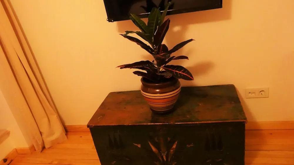 Comfort Oda, 1 Çift Kişilik Yatak