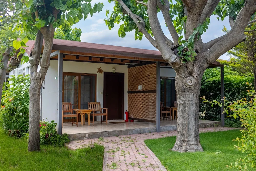 Oda, 1 Yatak Odası (Adults Only)