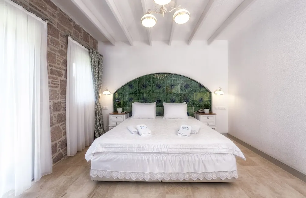 Deluxe Double or Twin Room with Private Garden