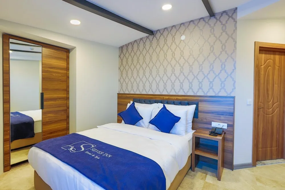 Deluxe Çatı Katı Süiti (Penthouse), 1 Yatak Odası, Teras, Şehir Manzaralı