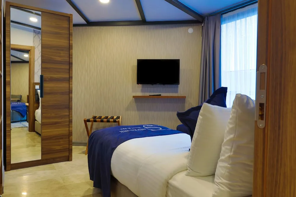 Deluxe Süit, 1 Yatak Odası, Şehir Manzaralı