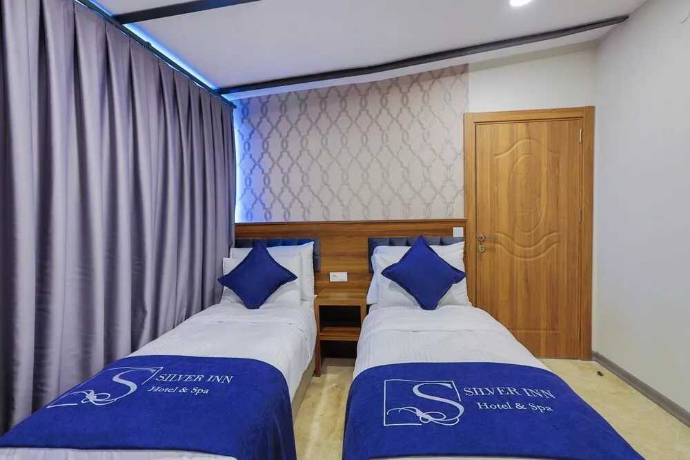 Deluxe Süit, 1 Yatak Odası, Şehir Manzaralı