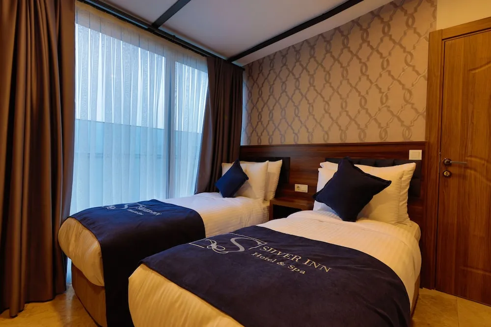 Deluxe Süit, 1 Yatak Odası, Şehir Manzaralı