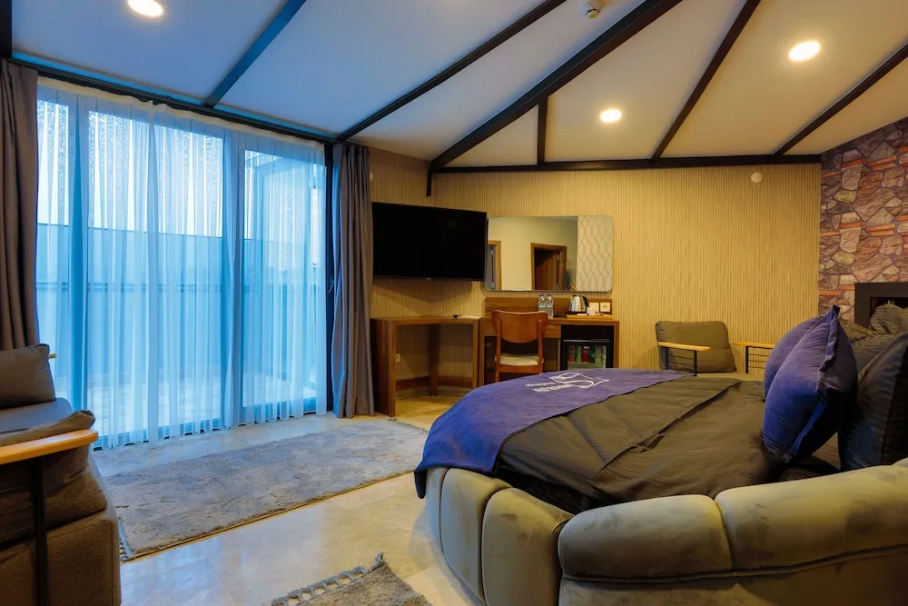 Deluxe Süit, 1 Yatak Odası, Şehir Manzaralı