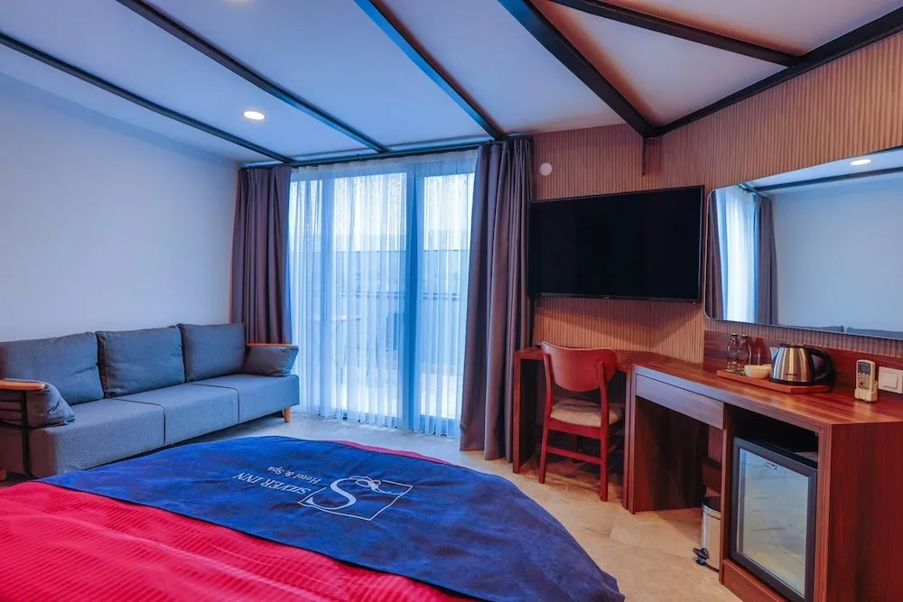 Deluxe Süit, 1 Yatak Odası, Şehir Manzaralı