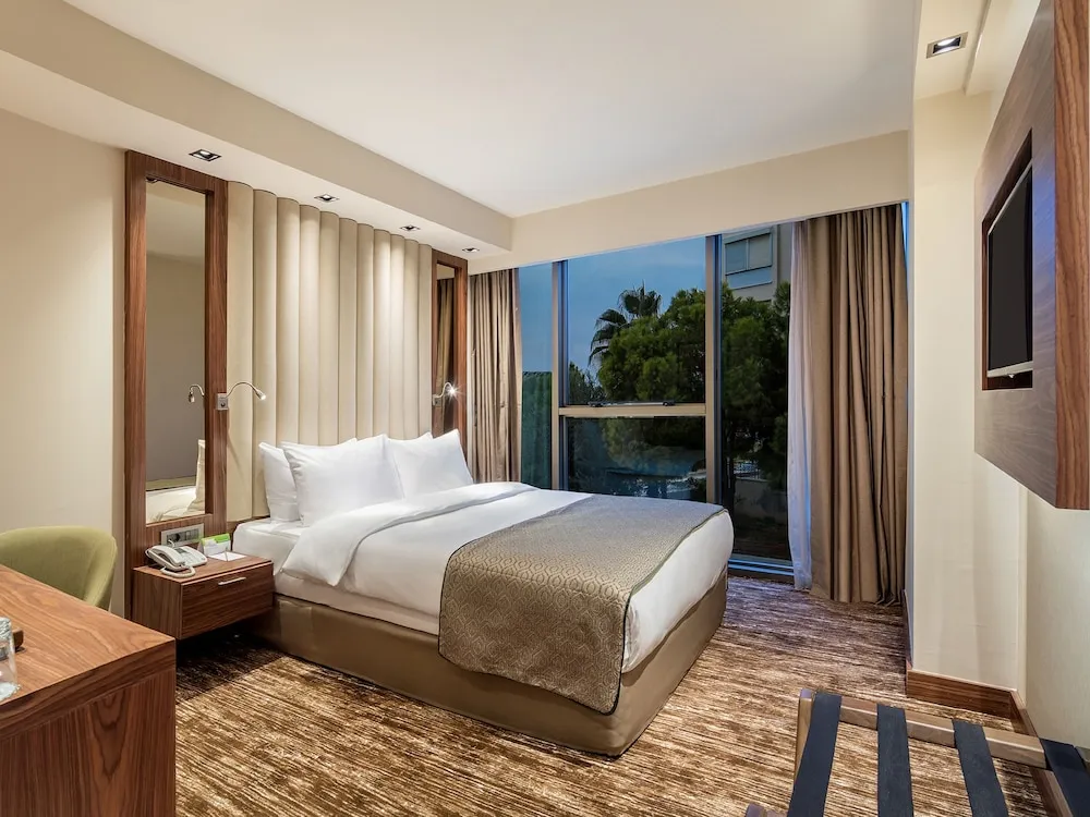Standard Oda, 1 Büyük (Queen) Boy Yatak, Engellilere Uygun, Şehir Manzaralı