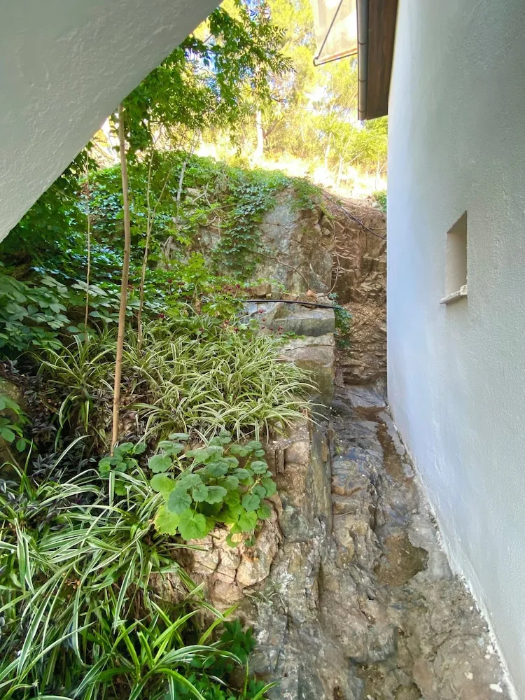 Oda, Dağ Manzaralı (Without Balcony)