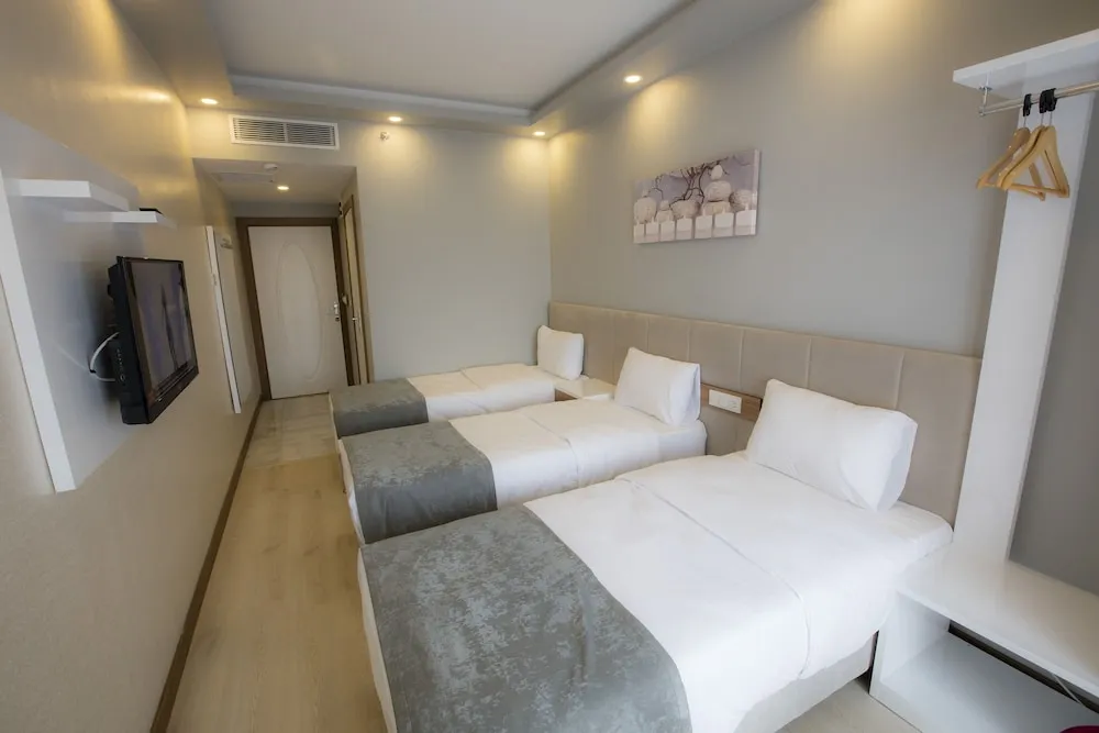 Deluxe Üç Kişilik Oda, Sigara İçilmez, Şehir Manzaralı
