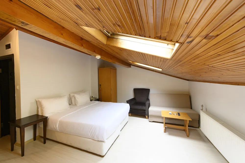 Çatı Katı Süiti (Penthouse)