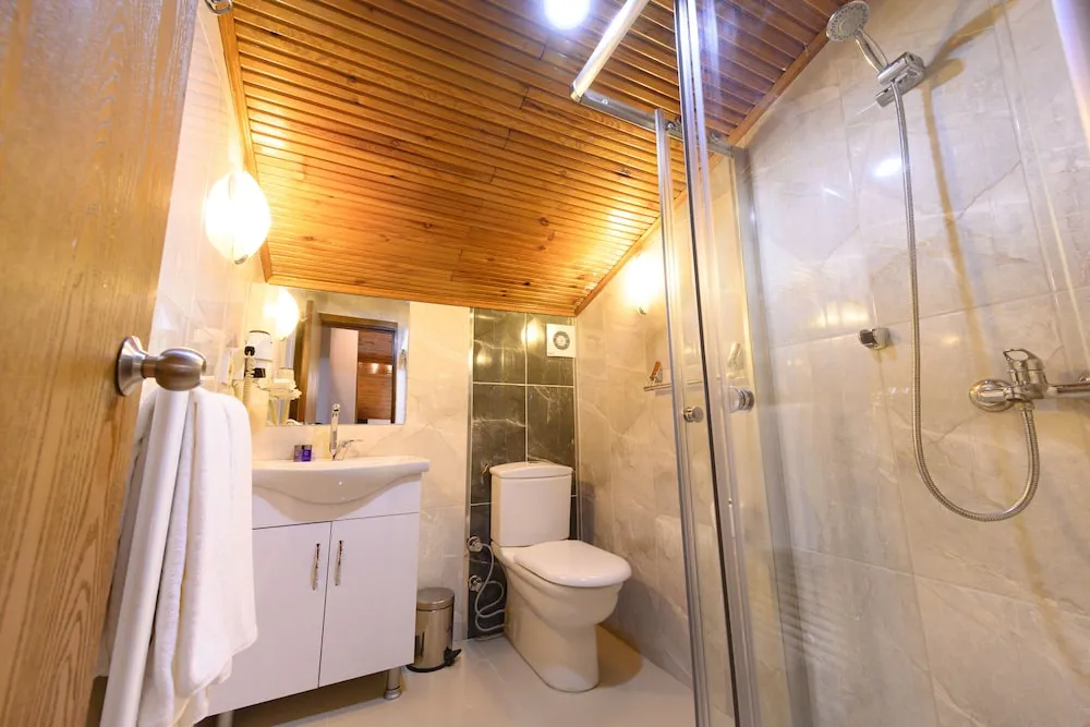 Çatı Katı Süiti (Penthouse)