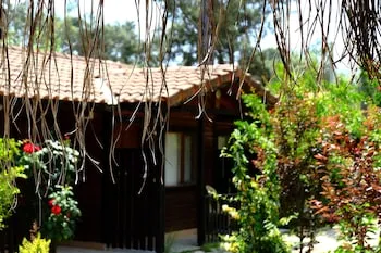 Koala Bungalows