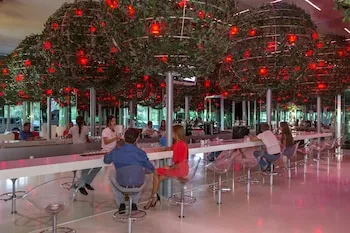 Adam & Eve - Her Şey Dâhil - Yetişkin Oteli