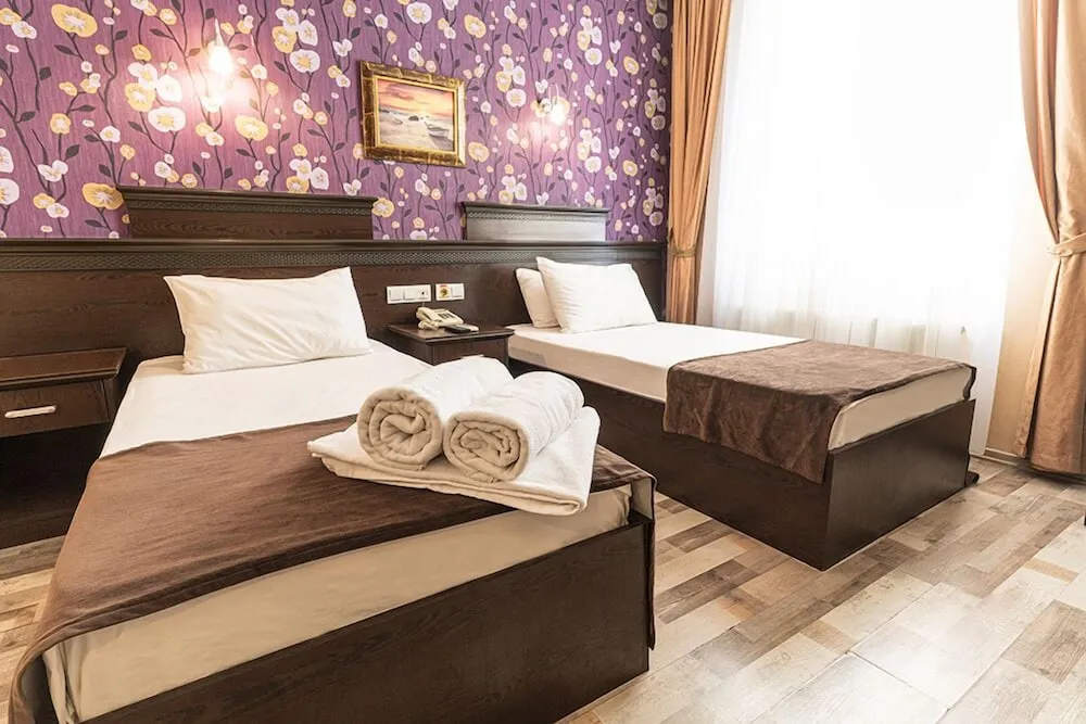 Classic İki Ayrı Yataklı Oda, Birden Çok Yatak, Şehir Manzaralı
