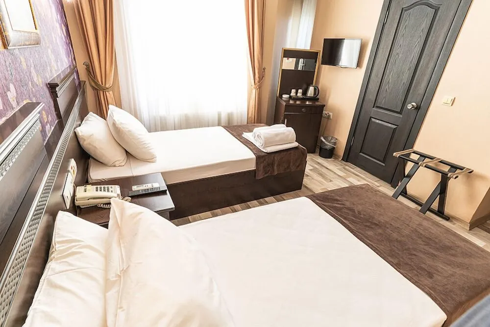 Classic İki Ayrı Yataklı Oda, Birden Çok Yatak, Şehir Manzaralı
