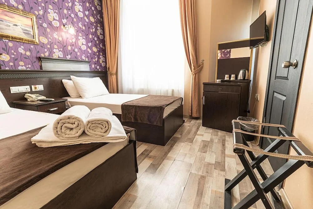 Classic İki Ayrı Yataklı Oda, Birden Çok Yatak, Şehir Manzaralı