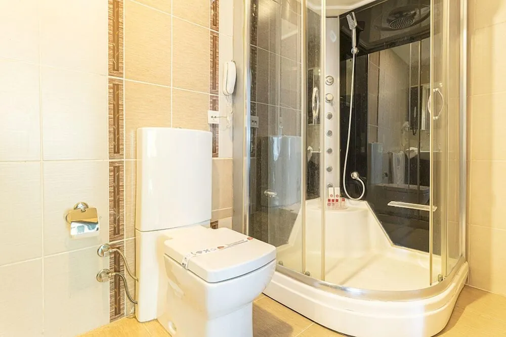 Business Süit, Birden Çok Yatak, Şehir Manzaralı