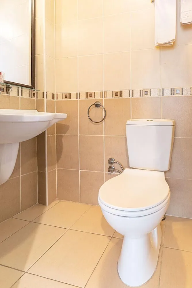 Deluxe Oda, 1 Yatak Odası, Şehir Manzaralı