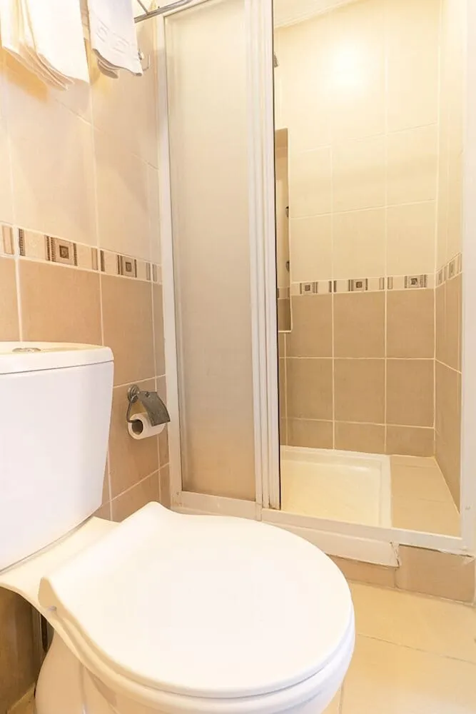 Deluxe Oda, 1 Yatak Odası, Şehir Manzaralı