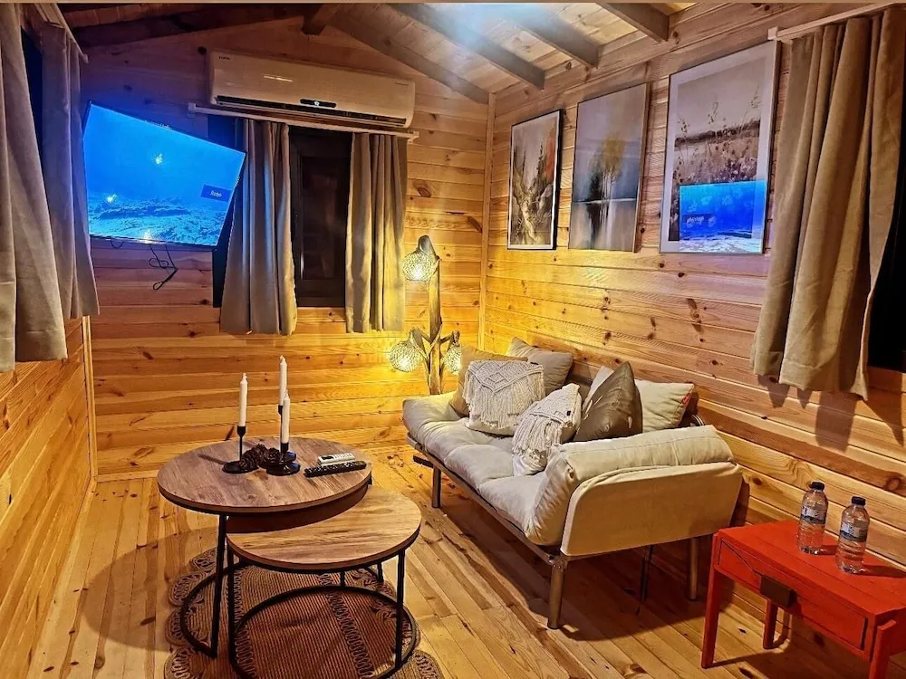 Design Ağaç Ev