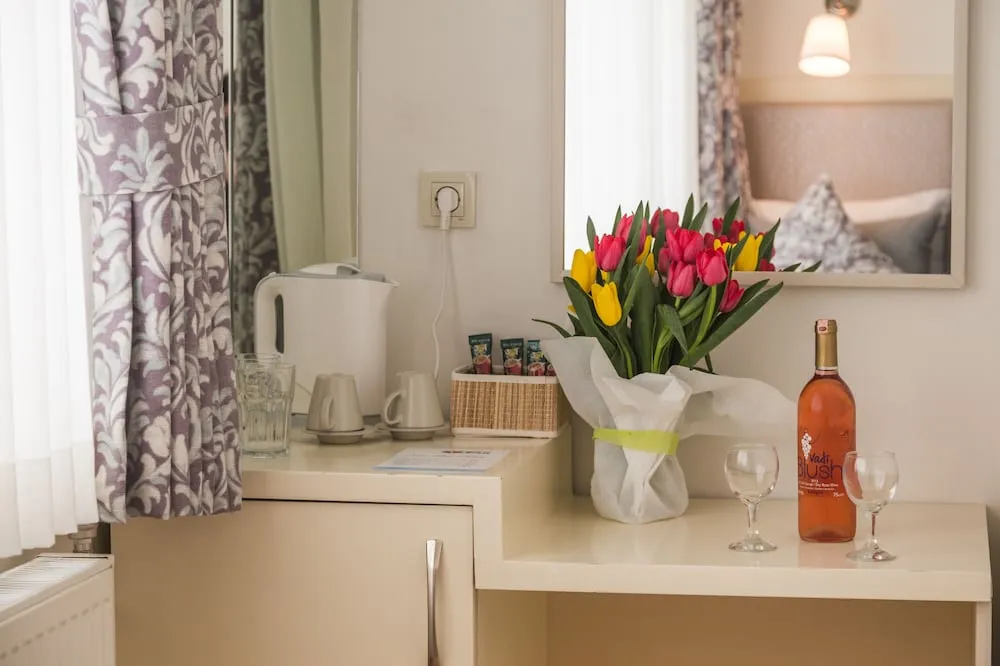 Standard Tek Büyük Yataklı Oda, Şehir Manzaralı