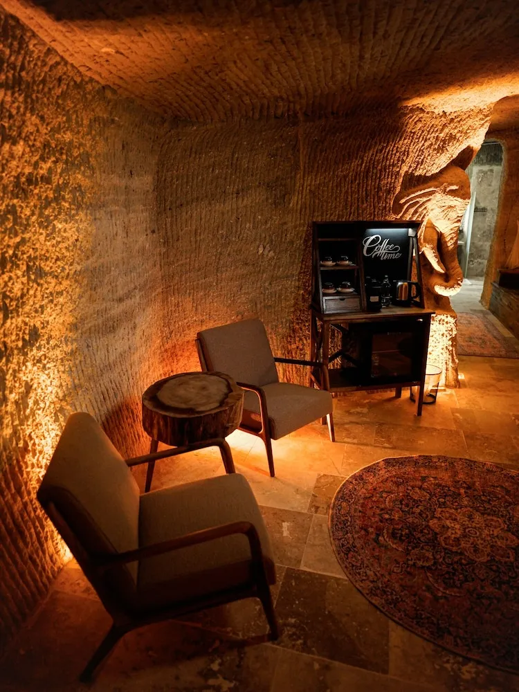 Luxury Stüdyo Süit
