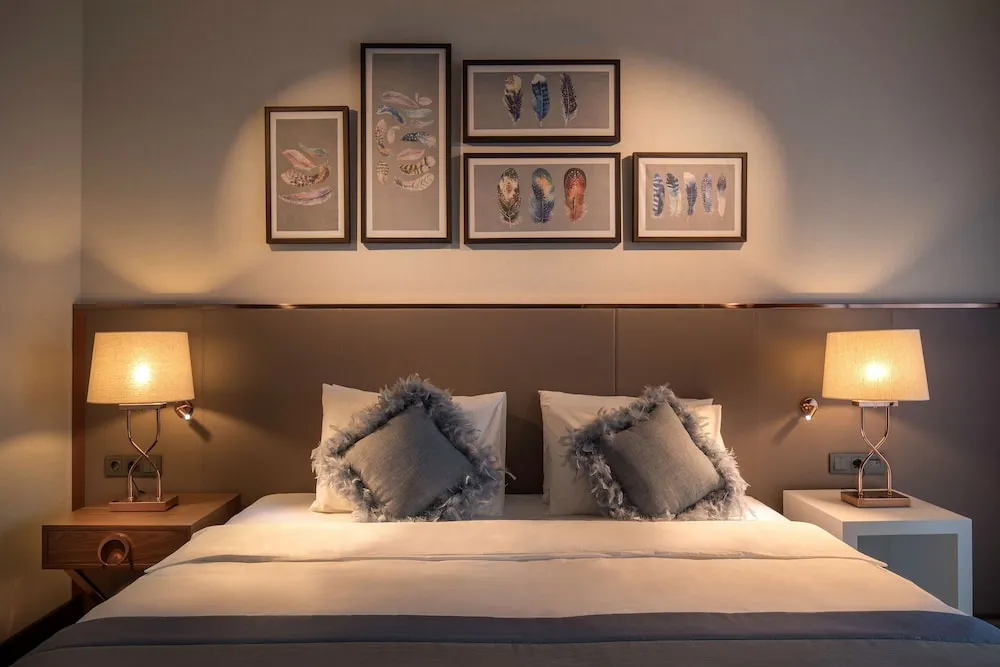 Superior Tek Büyük Yataklı Oda