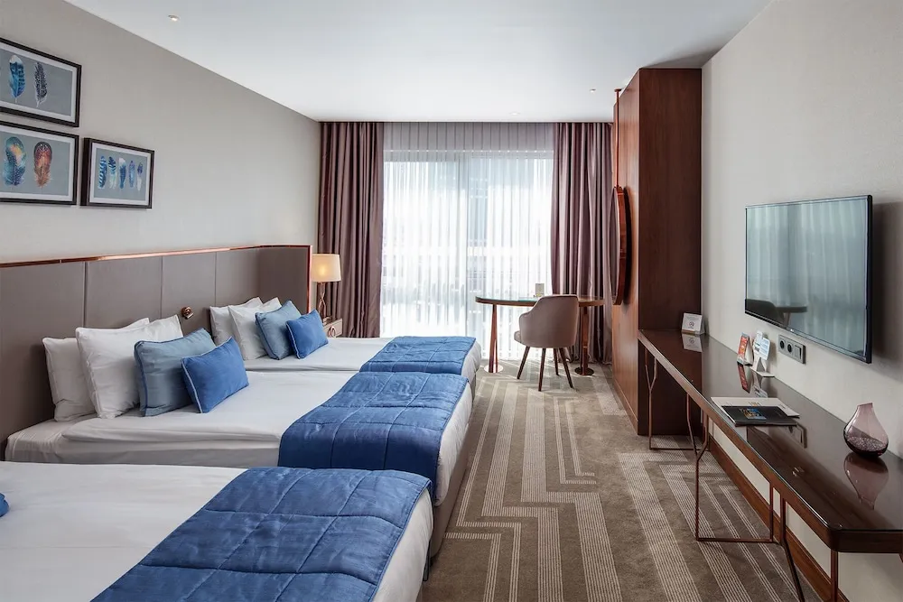 Deluxe Tek Büyük Yataklı Oda