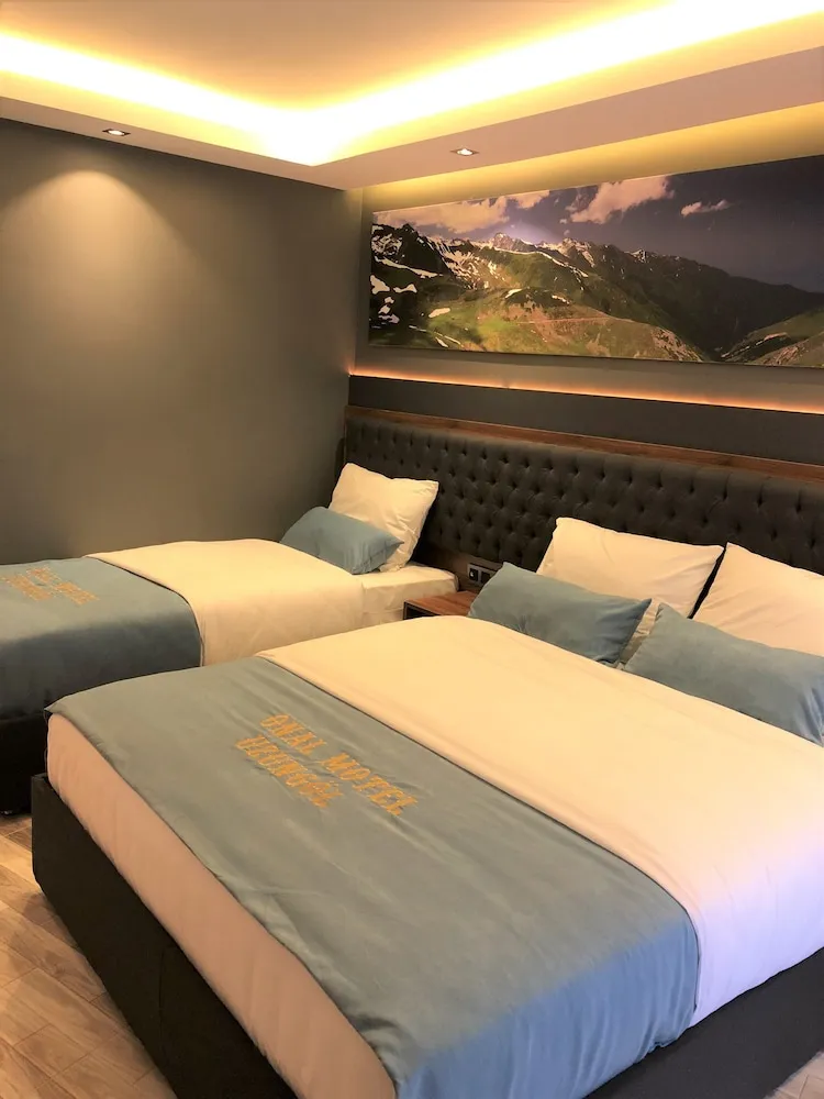 Deluxe Triple Room with Mountain View