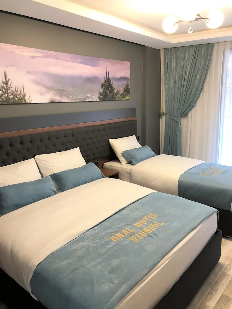 Suite 1+1 Room with Lake View