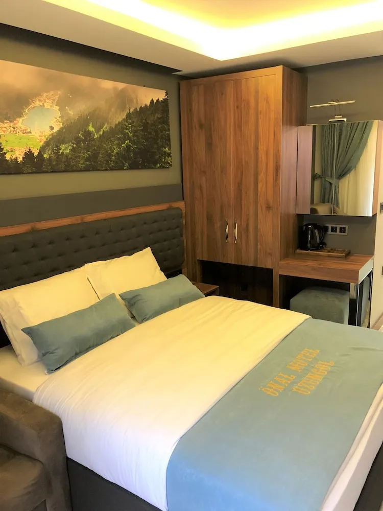 Superior Double Room with Mountain View