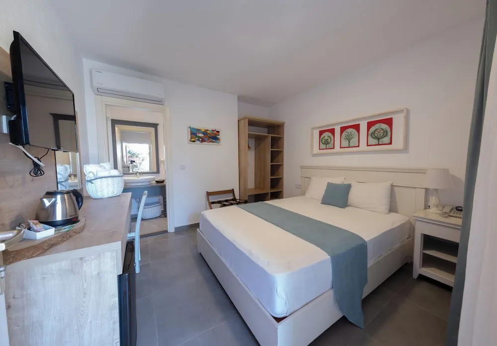 Economy Tek Büyük Yataklı Oda, 1 Büyük (Queen) Boy Yatak