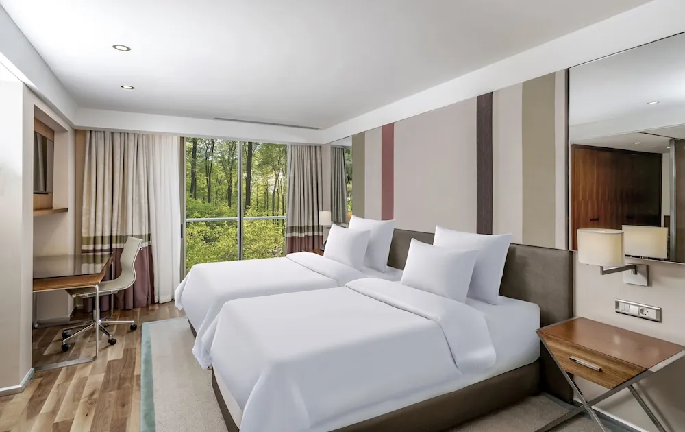 Villa, 1 En Büyük (King) Boy Yatak (Privé)