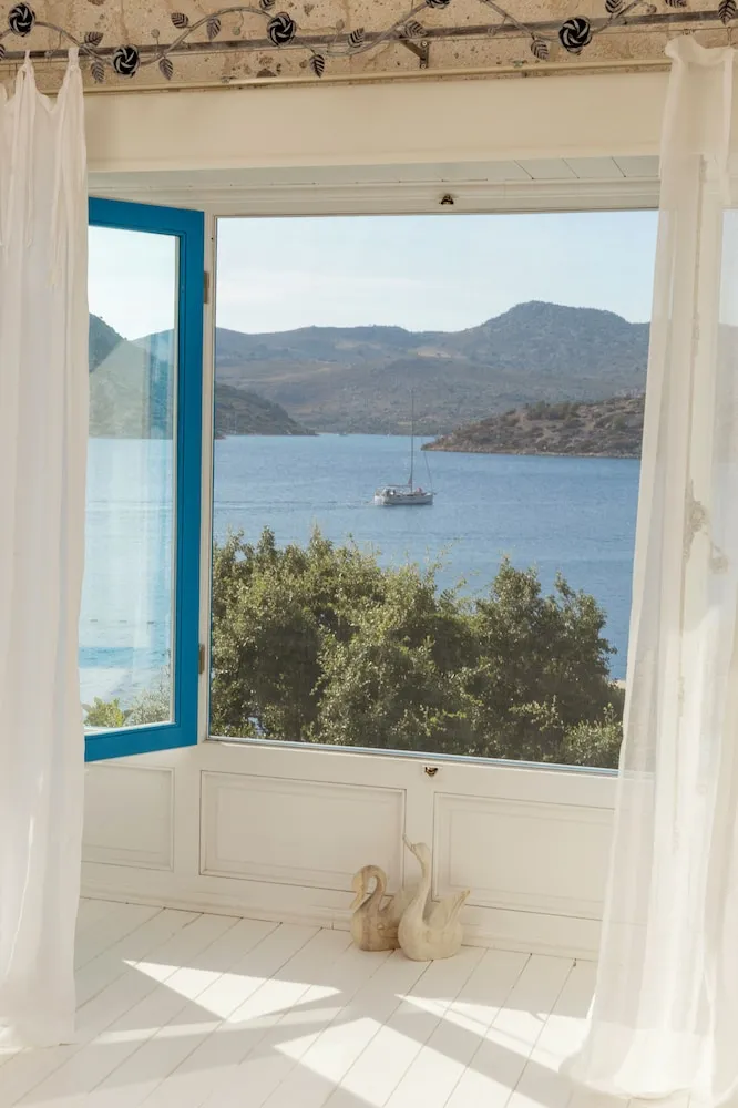 Luxury Haus (Zeytin)