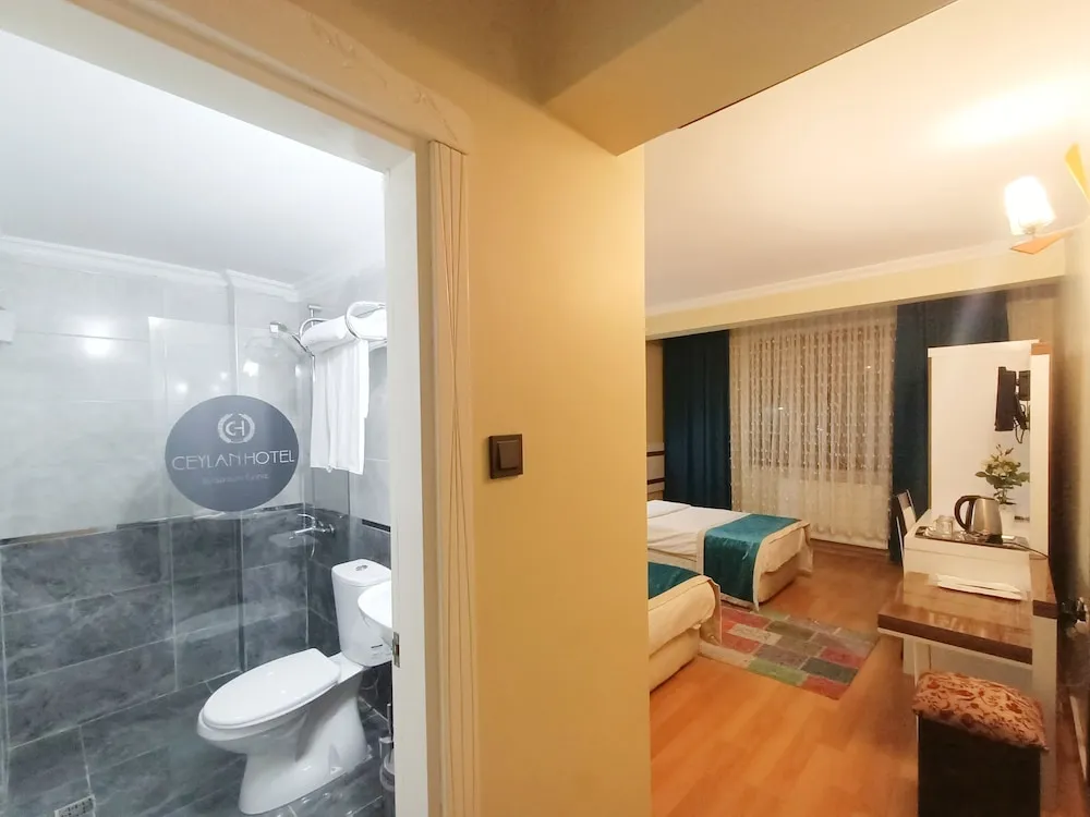 Comfort İki Ayrı Yataklı Oda, 1 Yatak Odası, Şehir Manzaralı