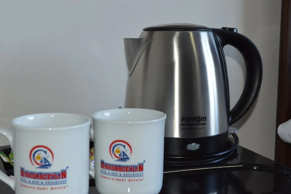 Economy Tek Büyük Yataklı Oda, Sigara İçilmez