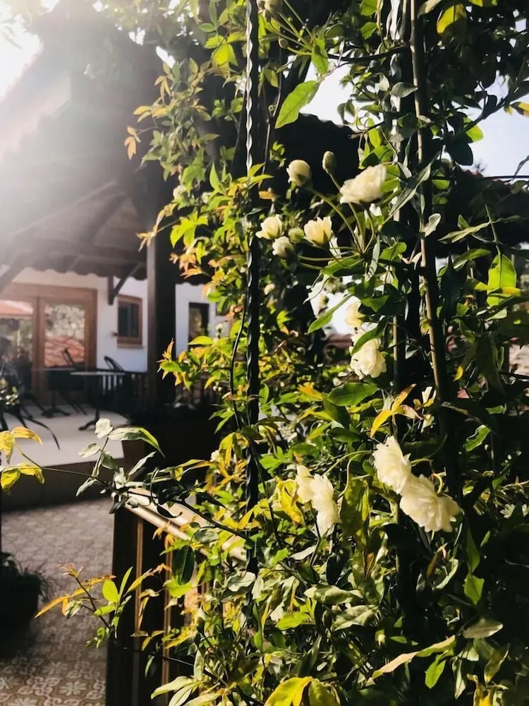 Deluxe Tek Büyük Yataklı Oda, Tepe Manzaralı