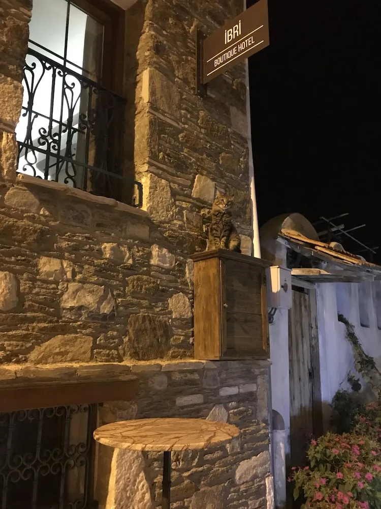 Deluxe Tek Büyük Yataklı Oda, Tepe Manzaralı