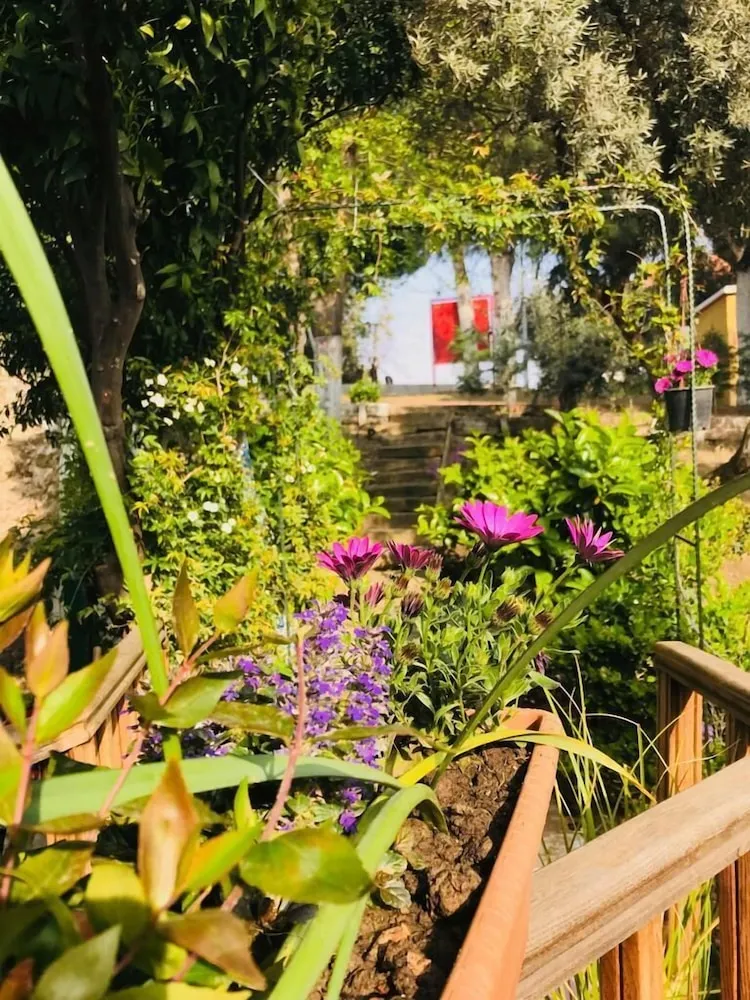 Deluxe Tek Büyük Yataklı Oda, Tepe Manzaralı