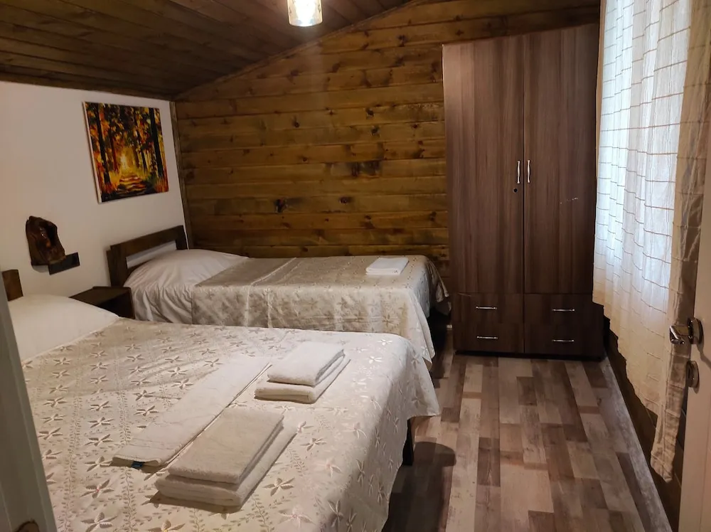 Dağ Evi 2