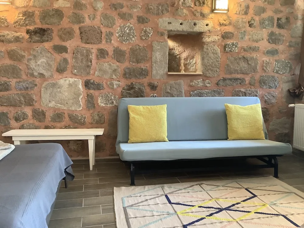 Deluxe Tek Büyük Yataklı Oda (with Fan)