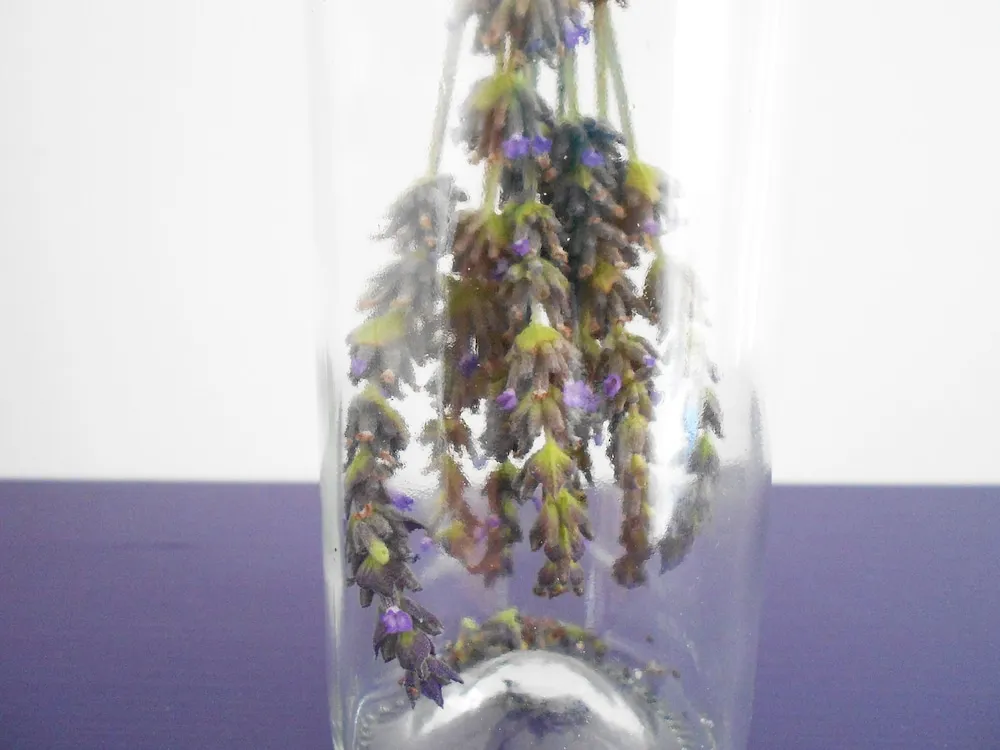 Comfort Oda, Balkon, Havuz Manzaralı