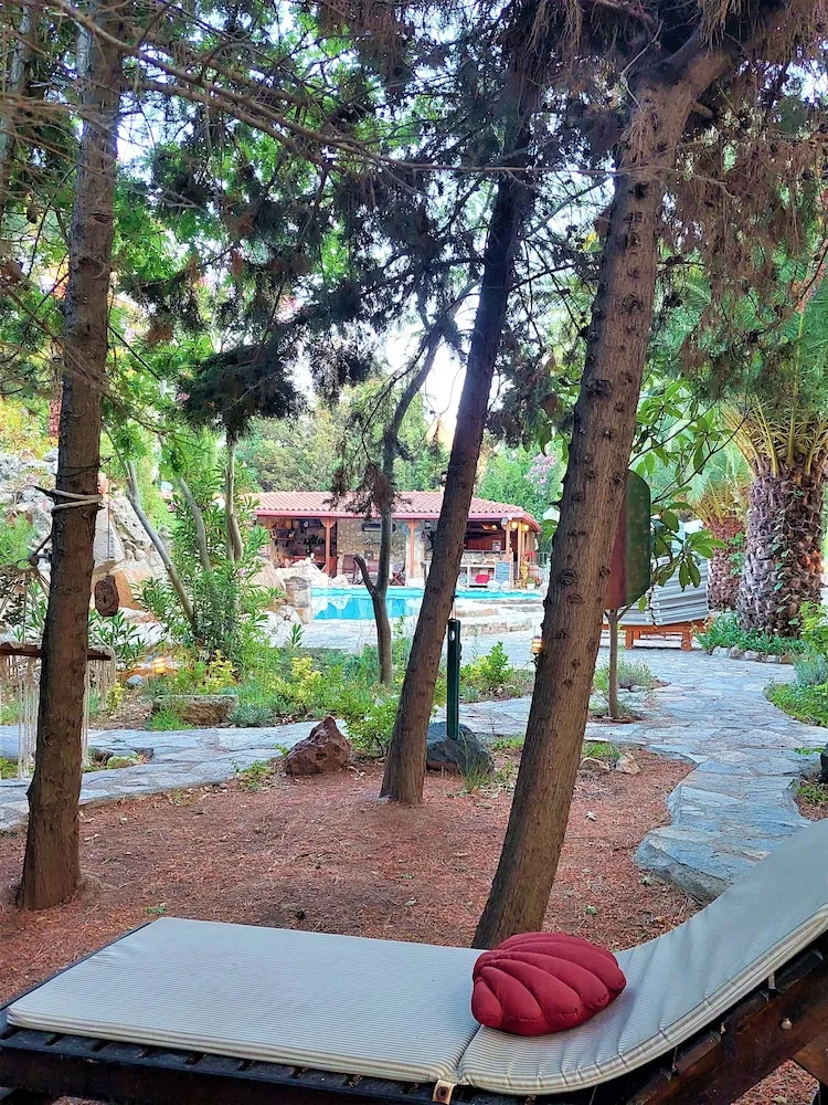 Superior Oda, Veranda, Havuz Manzaralı