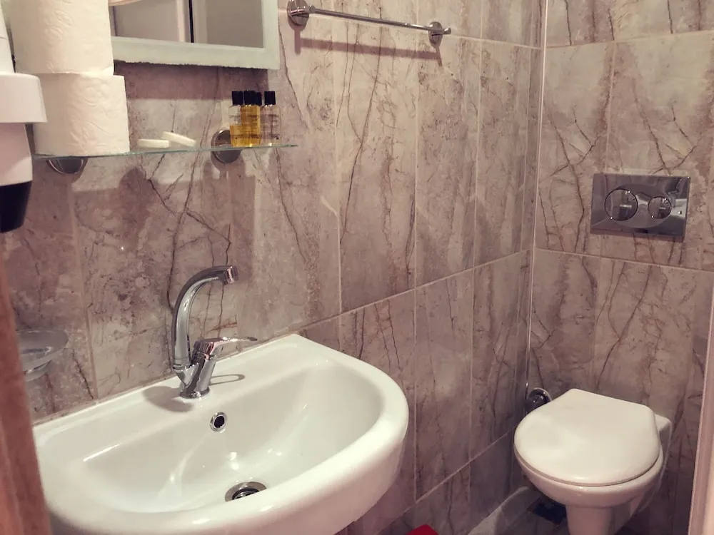 Deluxe Tek Büyük veya İki Ayrı Yataklı Oda