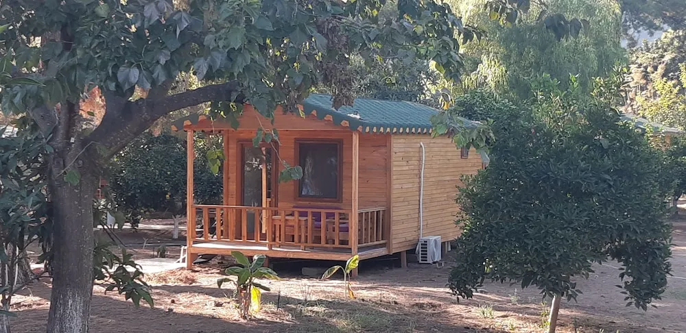 Standard Bungalov