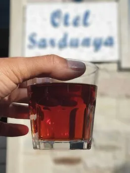 Sardunya Otel
